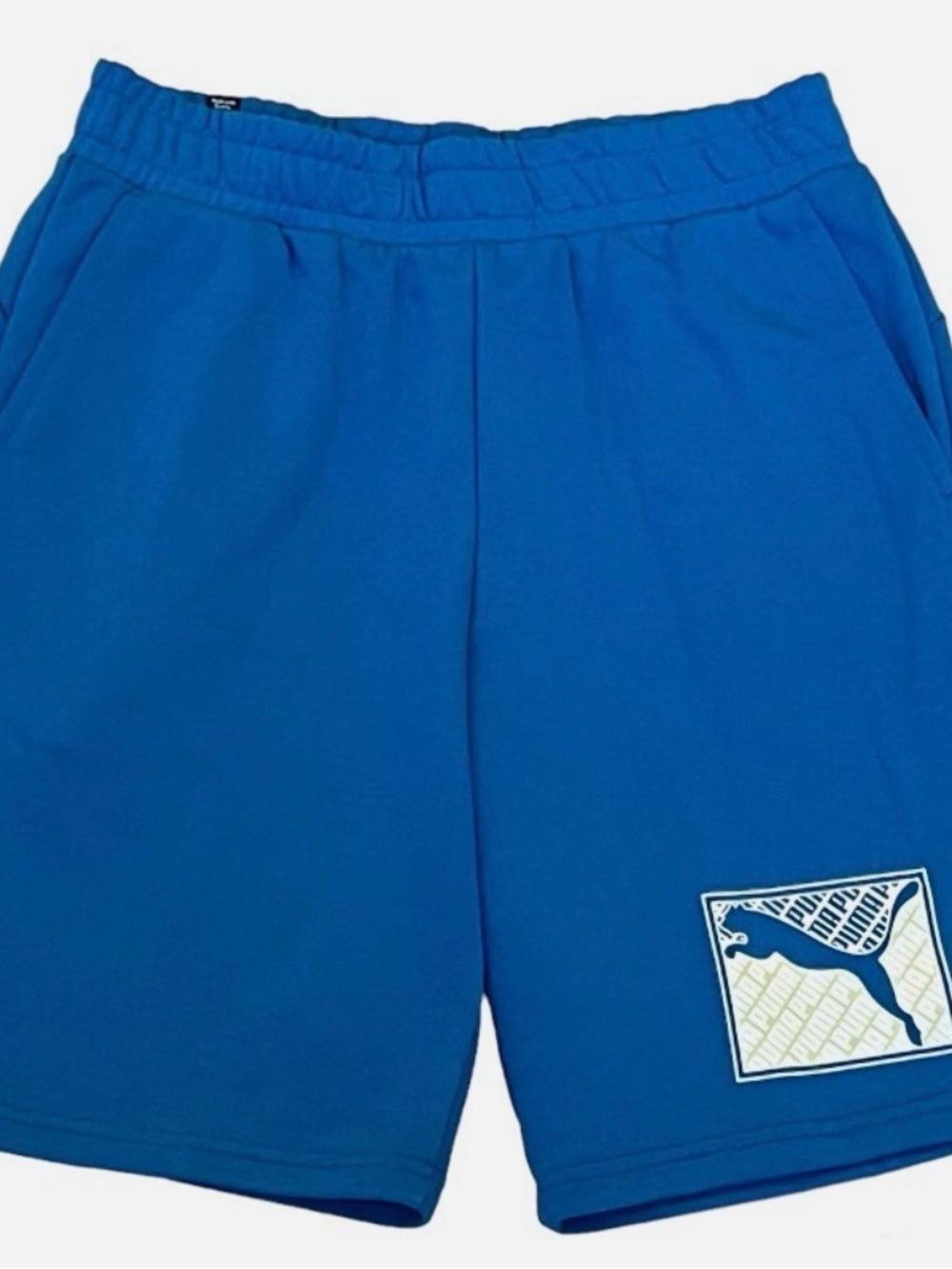 Puma Men's Blue Athletic Shorts
